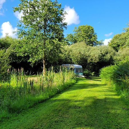 Budget Stay, In Lovely Private Setting With Rustic Charm, Log Burner, Fire Pit, Campers Kitchen & Eco Loo No Bedding Supplied Narberth Kültér fotó