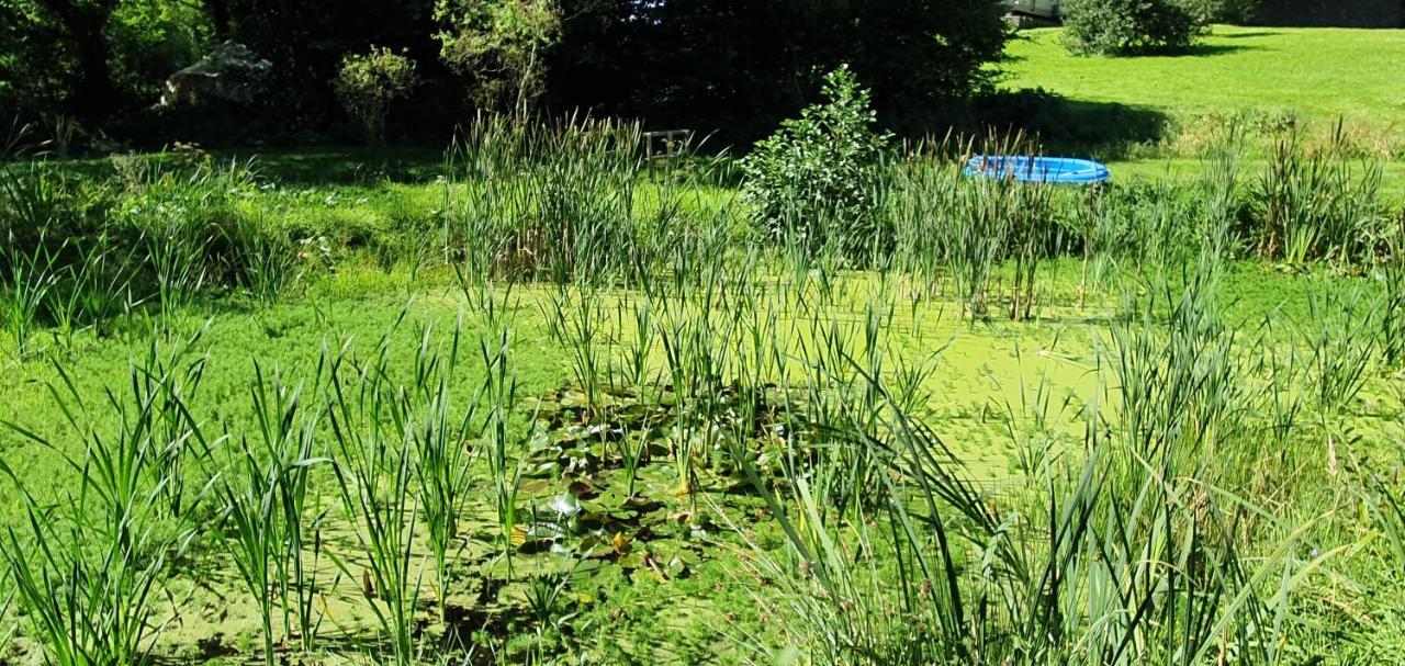 Budget Stay, In Lovely Private Setting With Rustic Charm, Log Burner, Fire Pit, Campers Kitchen & Eco Loo No Bedding Supplied Narberth Kültér fotó