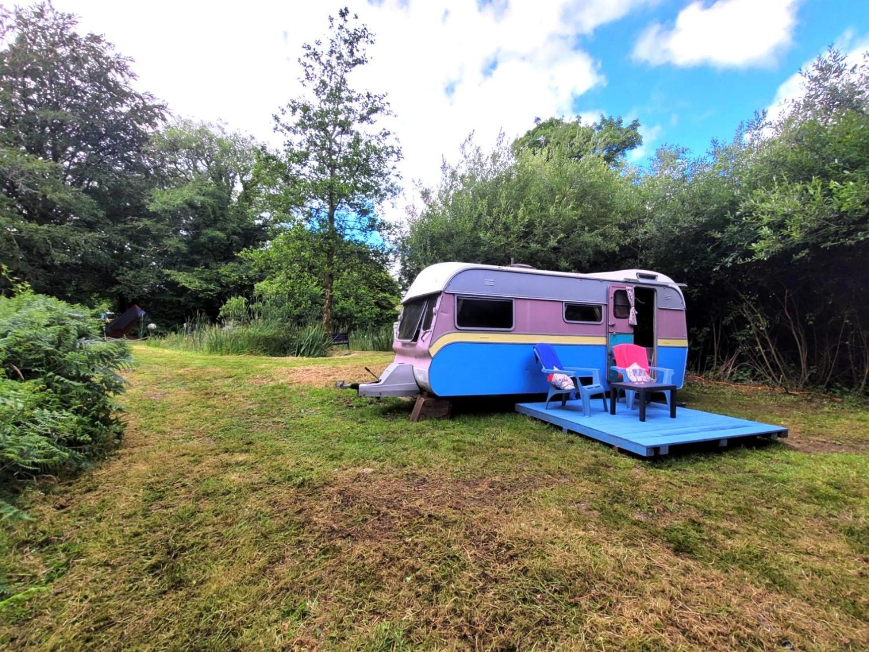 Budget Stay, In Lovely Private Setting With Rustic Charm, Log Burner, Fire Pit, Campers Kitchen & Eco Loo No Bedding Supplied Narberth Kültér fotó
