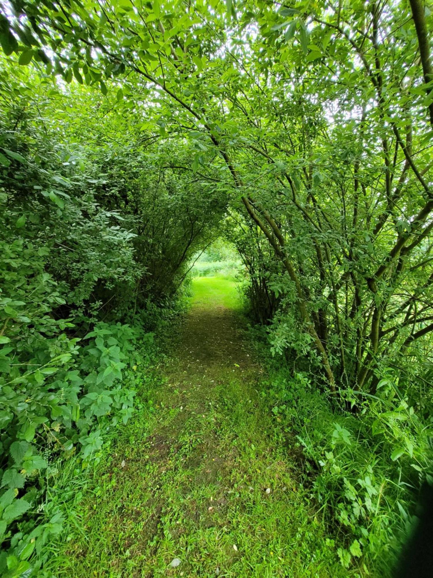 Budget Stay, In Lovely Private Setting With Rustic Charm, Log Burner, Fire Pit, Campers Kitchen & Eco Loo No Bedding Supplied Narberth Kültér fotó