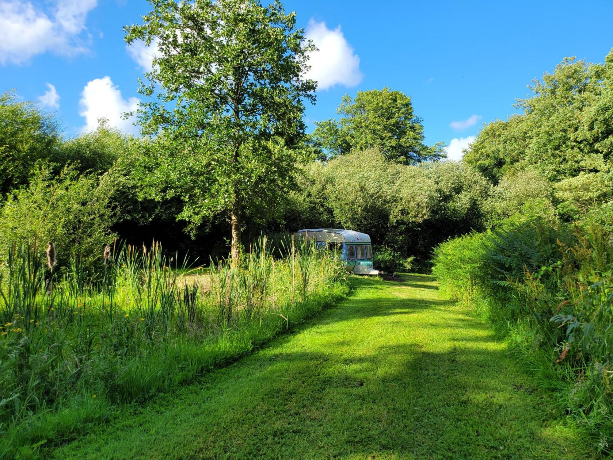Budget Stay, In Lovely Private Setting With Rustic Charm, Log Burner, Fire Pit, Campers Kitchen & Eco Loo No Bedding Supplied Narberth Kültér fotó